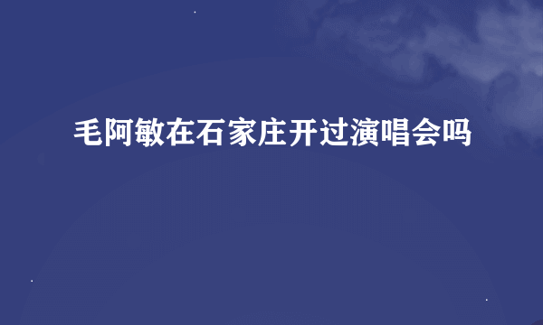 毛阿敏在石家庄开过演唱会吗