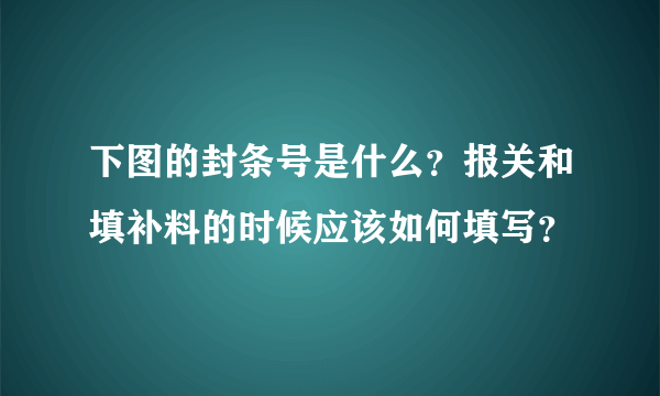 下图的封条号是什么？报关和填补料的时候应该如何填写？