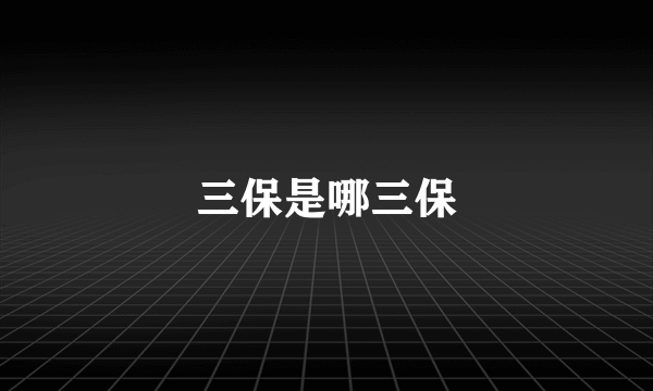 三保是哪三保