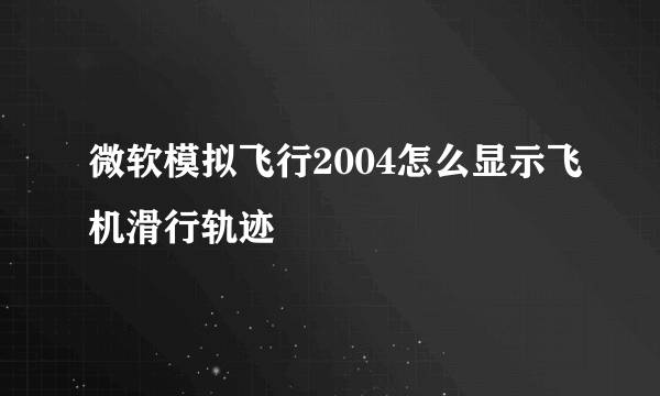 微软模拟飞行2004怎么显示飞机滑行轨迹