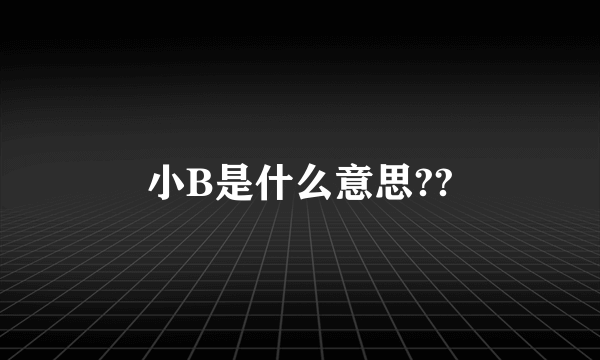 小B是什么意思??