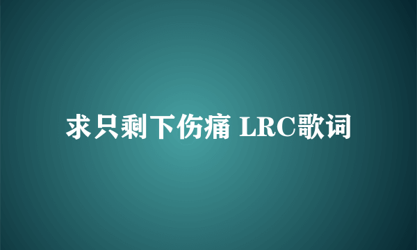 求只剩下伤痛 LRC歌词