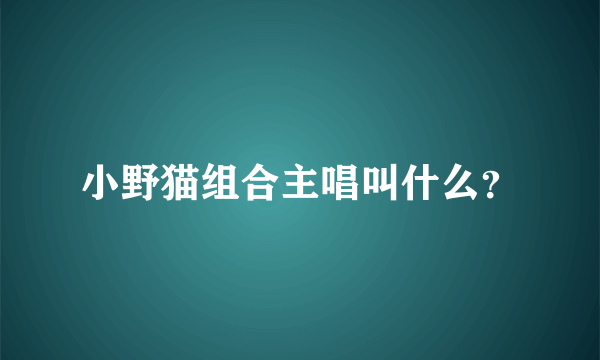 小野猫组合主唱叫什么？