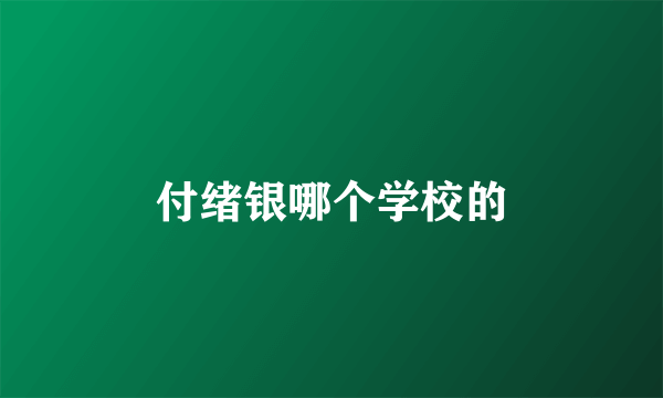 付绪银哪个学校的