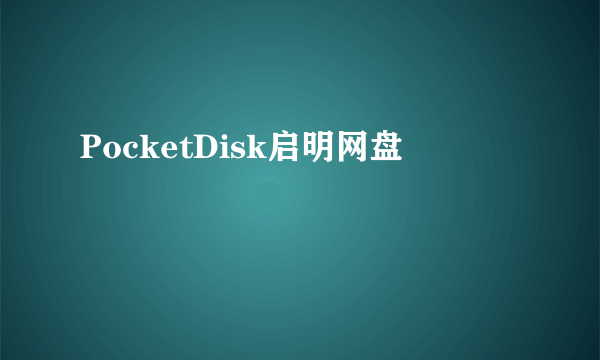 PocketDisk启明网盘