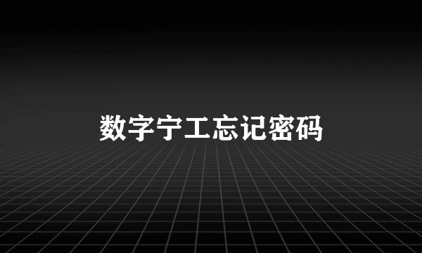 数字宁工忘记密码