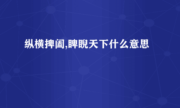 纵横捭阖,睥睨天下什么意思