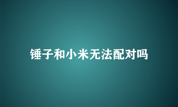 锤子和小米无法配对吗