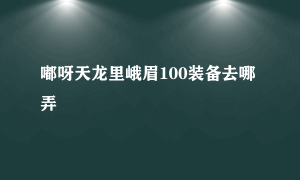 嘟呀天龙里峨眉100装备去哪弄