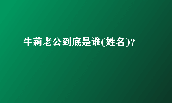 牛莉老公到底是谁(姓名)？