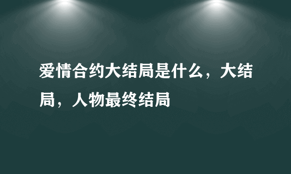 爱情合约大结局是什么，大结局，人物最终结局