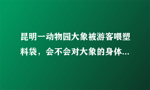 昆明一动物园大象被游客喂塑料袋，会不会对大象的身体造成一定危害？