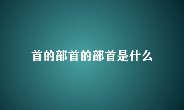 首的部首的部首是什么