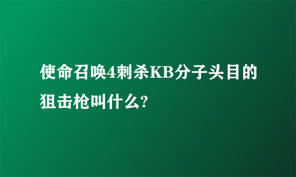 使命召唤4刺杀KB分子头目的狙击枪叫什么?