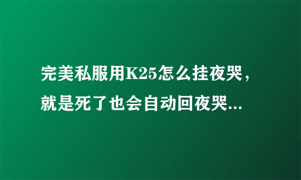 完美私服用K25怎么挂夜哭，就是死了也会自动回夜哭挂机点挂机。