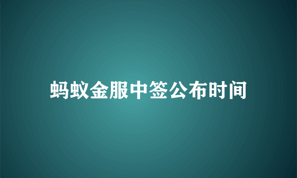 蚂蚁金服中签公布时间