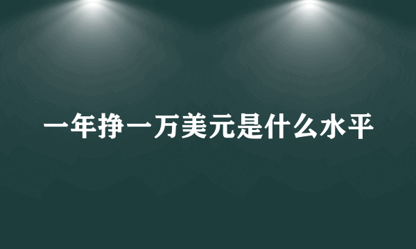 一年挣一万美元是什么水平