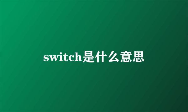 switch是什么意思