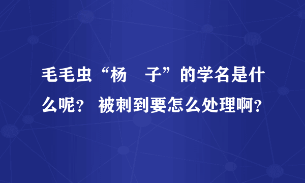 毛毛虫“杨揦子”的学名是什么呢？ 被刺到要怎么处理啊？