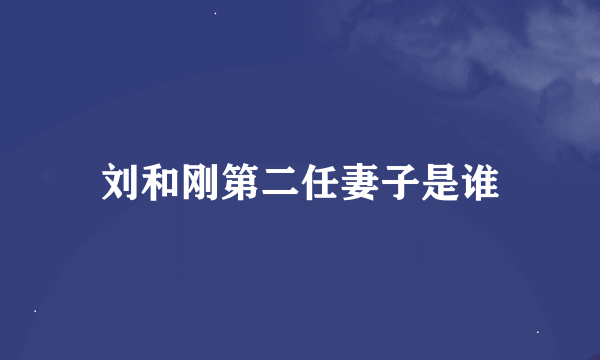 刘和刚第二任妻子是谁