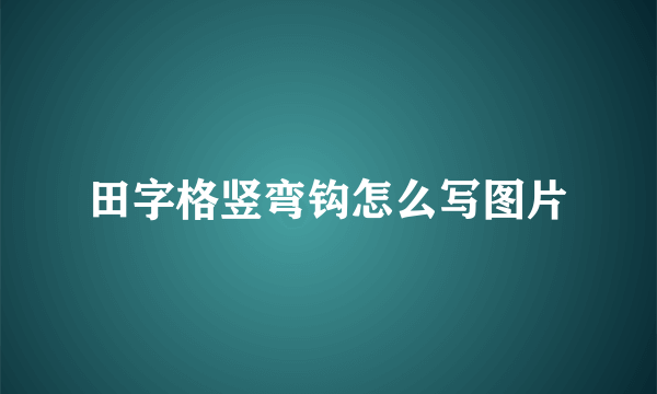 田字格竖弯钩怎么写图片