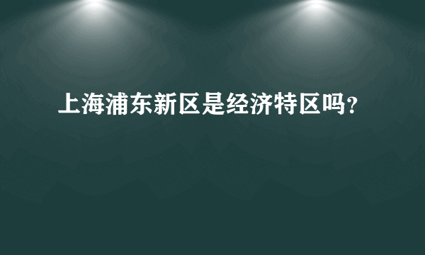 上海浦东新区是经济特区吗？