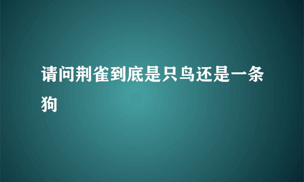 请问荆雀到底是只鸟还是一条狗