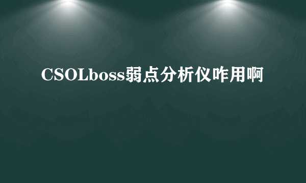 CSOLboss弱点分析仪咋用啊