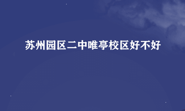 苏州园区二中唯亭校区好不好