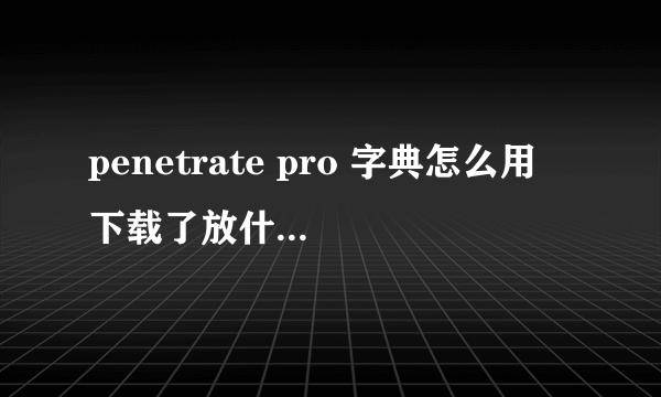 penetrate pro 字典怎么用 下载了放什么地方？