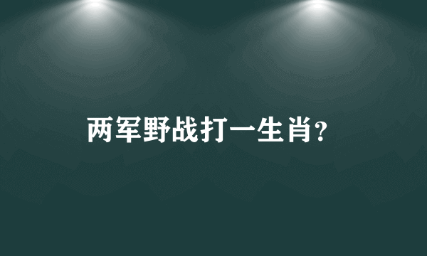 两军野战打一生肖？