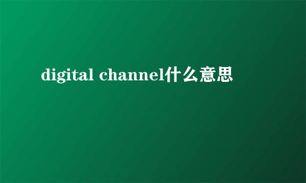 digital channel什么意思