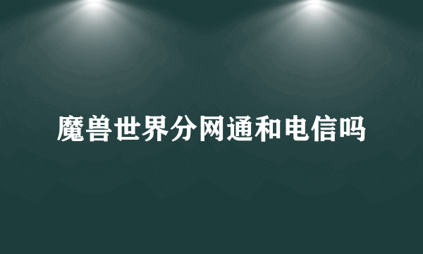 魔兽世界分网通和电信吗