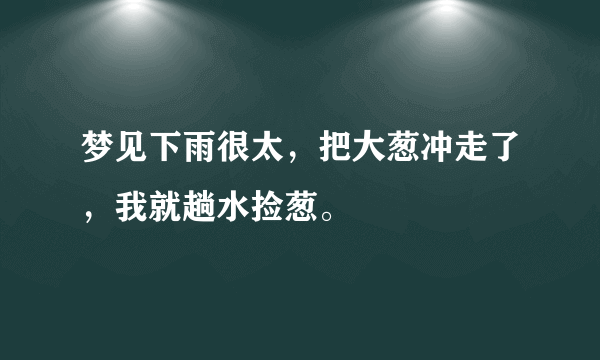 梦见下雨很太，把大葱冲走了，我就趟水捡葱。