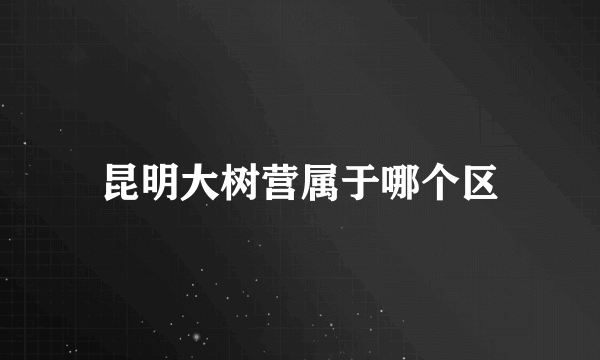 昆明大树营属于哪个区