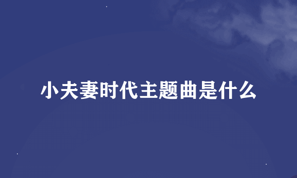 小夫妻时代主题曲是什么