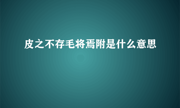 皮之不存毛将焉附是什么意思