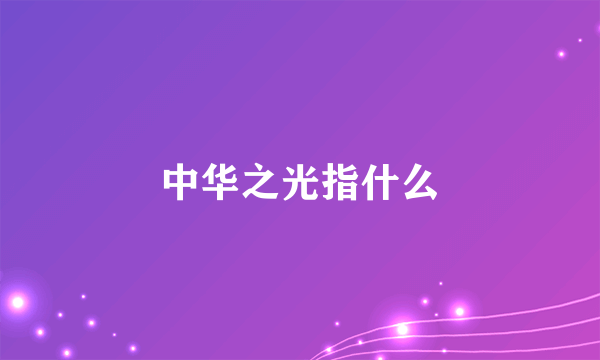 中华之光指什么