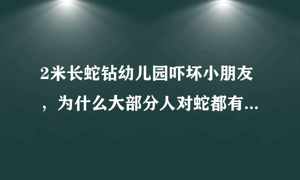 2米长蛇钻幼儿园吓坏小朋友，为什么大部分人对蛇都有恐惧心理？