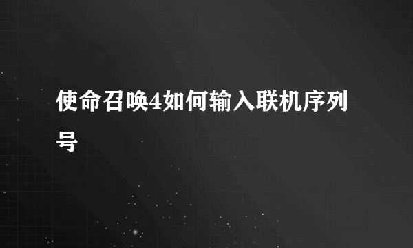 使命召唤4如何输入联机序列号