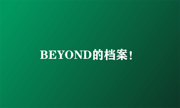 BEYOND的档案！