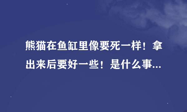 熊猫在鱼缸里像要死一样！拿出来后要好一些！是什么事情！该怎么办！在线等