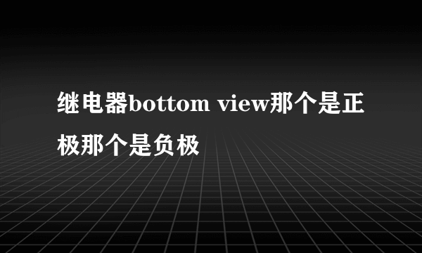 继电器bottom view那个是正极那个是负极