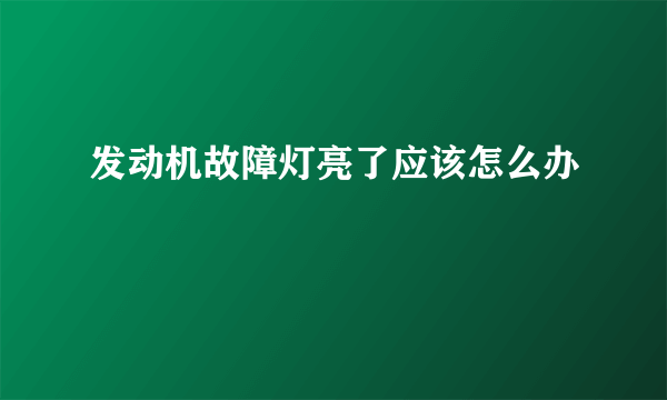 发动机故障灯亮了应该怎么办