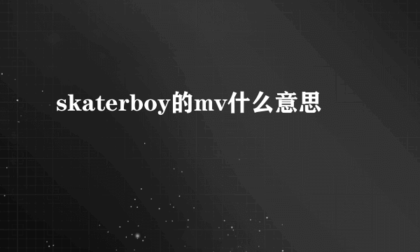 skaterboy的mv什么意思