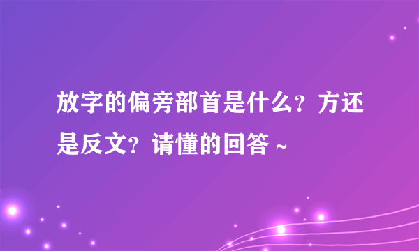 放字的偏旁部首是什么？方还是反文？请懂的回答～