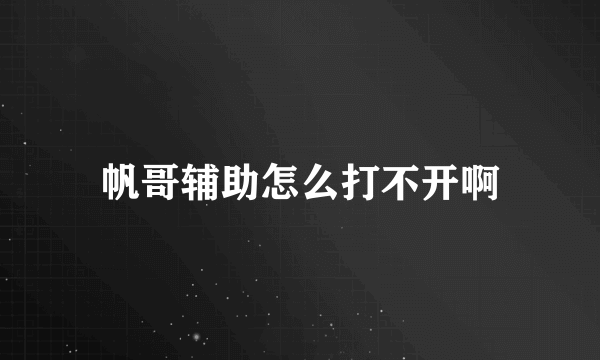 帆哥辅助怎么打不开啊