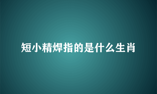 短小精焊指的是什么生肖