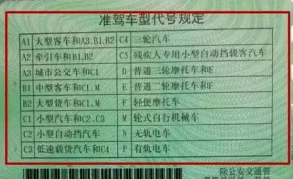 c本驾照能开什么车？