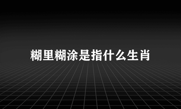 糊里糊涂是指什么生肖